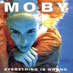 Cover of Everything Is Wrong, 1995-03-13, CD