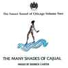 Derrick Carter - The Many Shades Of Cajual (The Future Sound Of Chicago Volume Two)