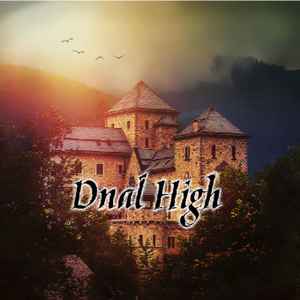 涼椰 - DnalHigh album cover