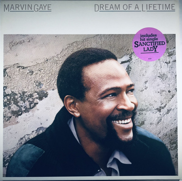 Marvin Gaye Dream Of A Lifetime (1985, Vinyl) Discogs