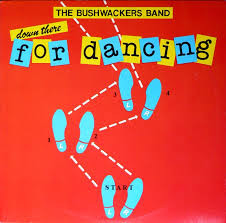 baixar álbum The Bushwackers Band - Down There For Dancing