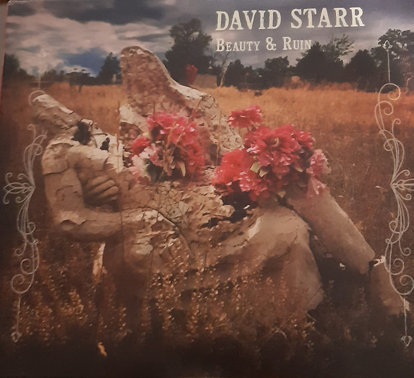 last ned album David Starr - Beauty Ruin