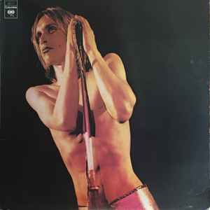 The Stooges - Raw Power album cover