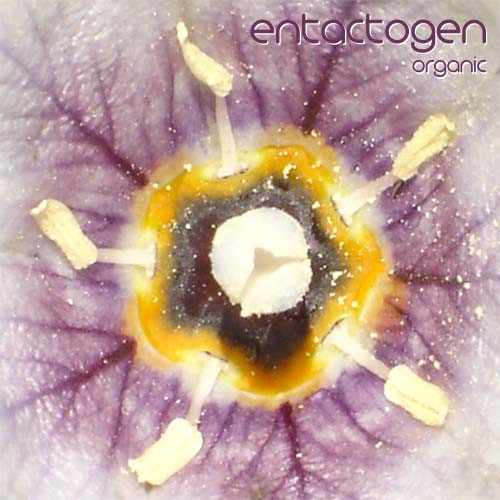 Entactogen - Mixotic 012 - Entactogen - Organic (2005-09-23)