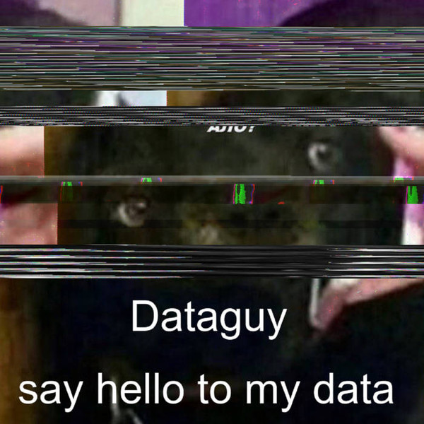 ladda ner album Dataguy - Say Hello To My Data