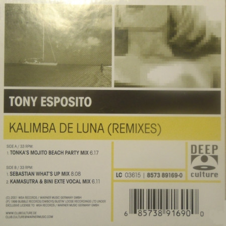 descargar álbum Tony Esposito - Kalimba De Luna Remixes