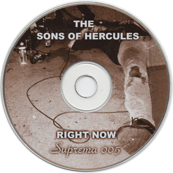 descargar álbum The Sons Of Hercules - Right Now
