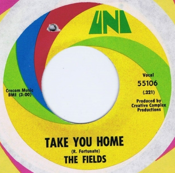 baixar álbum The Fields - Bide My Time Take You Home