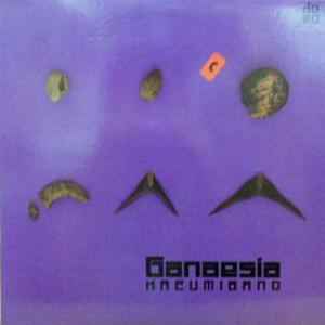 Kazumi Band – Ganaesia (1982, Purple Sleeve (C), Vinyl) - Discogs