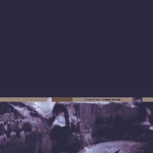 last ned album Kreptkrept - Irregular Dark Beat