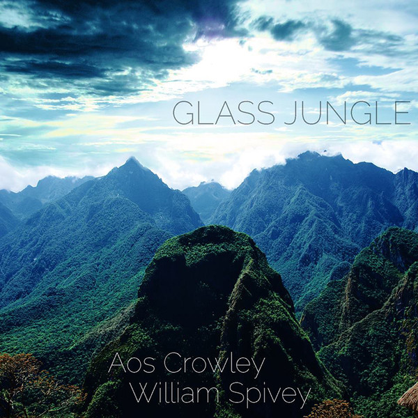 last ned album Aos Crowley & William Spivey - Glass Jungle