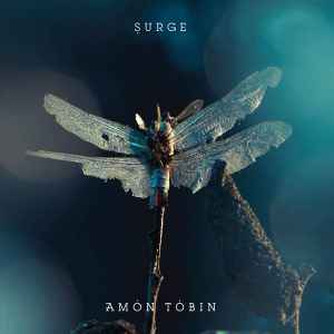 Amon Tobin - Surge album cover
