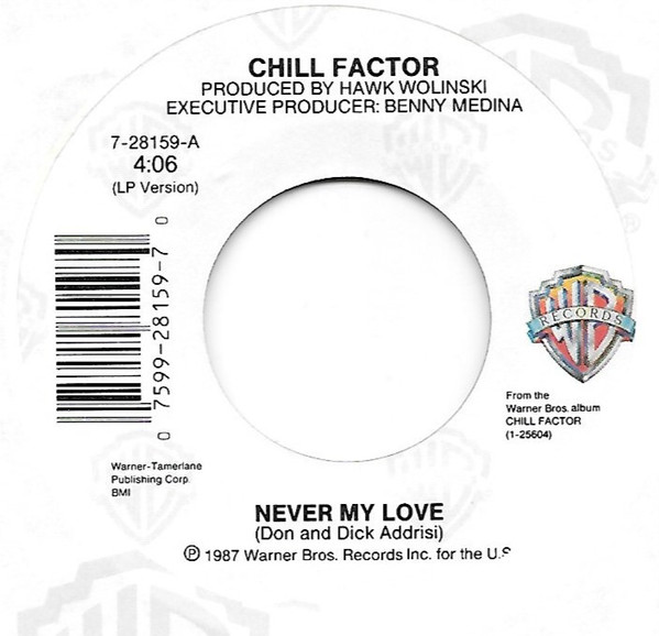 Album herunterladen Chill Factor - Never My Love
