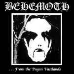 Cover of ...From The Pagan Vastlands, 1995, CD