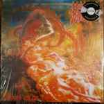 Morbid Angel – Blessed Are The Sick (2021, Silver, Gatefold, Vinyl 