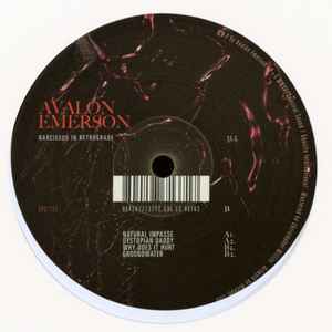 Narcissus In Retrograde - Avalon Emerson