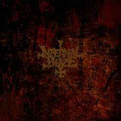 Infernal Blaze - Veiled Signals album cover