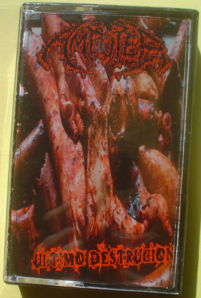 Album herunterladen Amputee - Discography Ultimo Destrucion