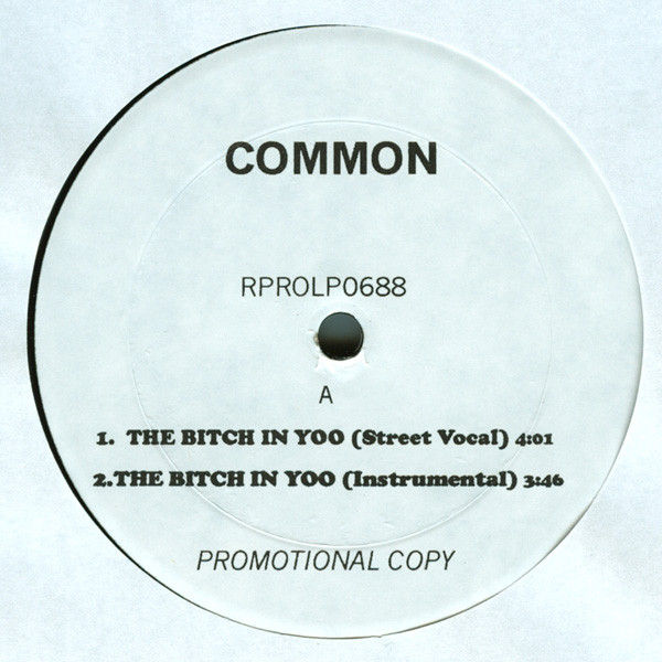COMMON the bitch in yoo レコード 12インチ LP