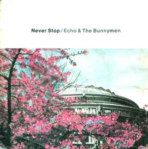 Echo & The Bunnymen - Never Stop