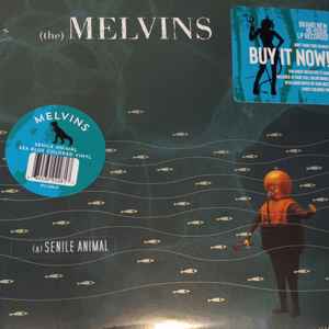 The) Melvins – (A) Senile Animal (2022, Blue Sea, Vinyl) - Discogs