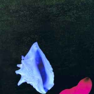 New Order - Touched By The Hand Of God album cover