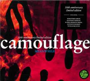 Meanwhile - Camouflage