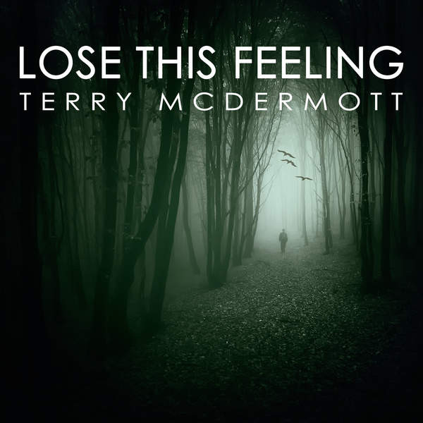 descargar álbum Terry McDermott - Lose This Feeling