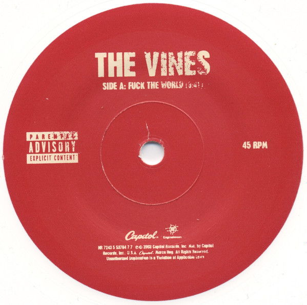 descargar álbum The Vines - Fuck The World