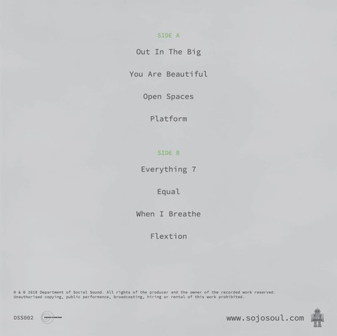last ned album Sojo Soul - The Nebulous Concept