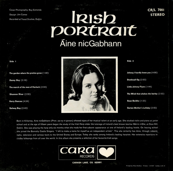 last ned album Aine NicGabhann - Irish Portrait