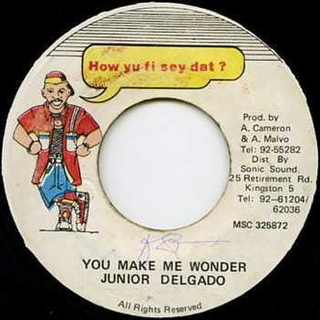 lataa albumi Junior Delgado - You Make Me Wonder