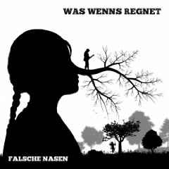 Was Wenns Regnet - Falsche Nasen album cover
