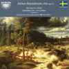 Helmer Alexandersson - Uppsala Chamber Orchestra*, Paul Mägi - Overture In C Minor / Symphony No. 2 In G Minor