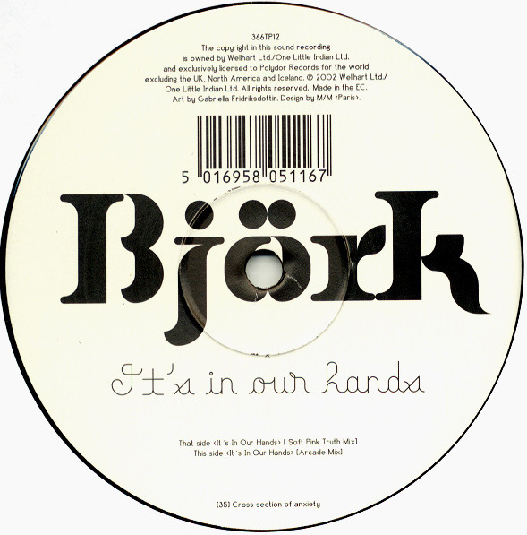 Björk – It's In Our Hands (2002, Vinyl) - Discogs