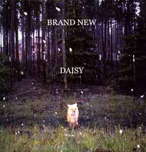 Daisy limited repress on Sound of Vinyl : r/brandnew
