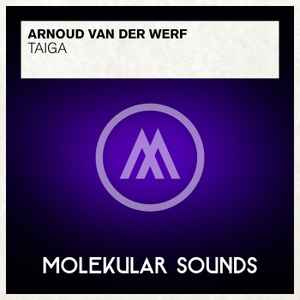 Arnoud van der Werf - Taiga album cover