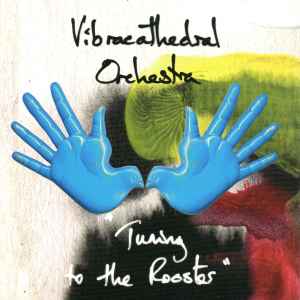 Vibracathedral Orchestra - Tuning To The Rooster