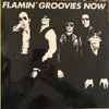 Flamin' Groovies* - Now