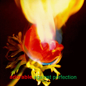 Adorable – Against Perfection (2018, Vinyl) - Discogs