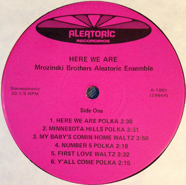 baixar álbum Mrozinski Brothers Aleatoric Ensemble - Here We Are