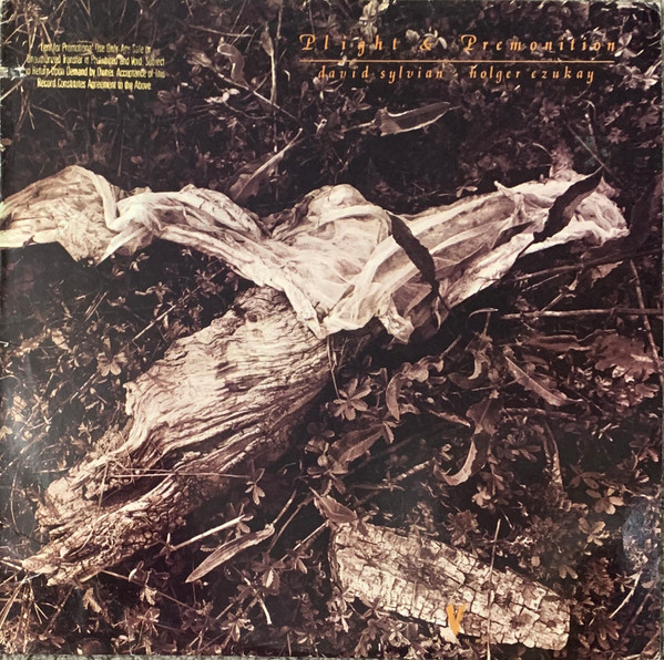 David Sylvian + Holger Czukay - Plight u0026 Premonition | Releases | Discogs