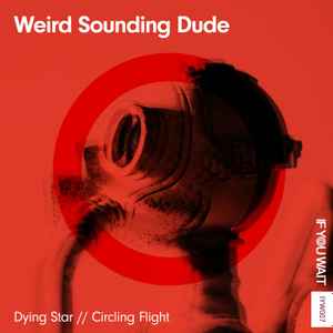 Weird Sounding Dude - Dying Star // Circling Flight album cover