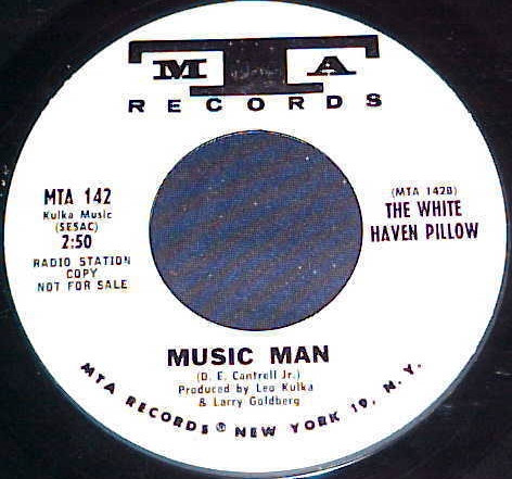 ladda ner album The White Haven Pillow - Wreck It Music Man