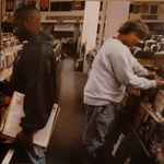 Cover of Endtroducing...., 1996, CD