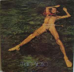 Ney Matogrosso - Mato Grosso (Vinyl, Brazil, 1982) For Sale | Discogs