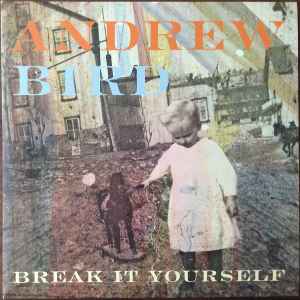 Andrew Bird - Break It Yourself
