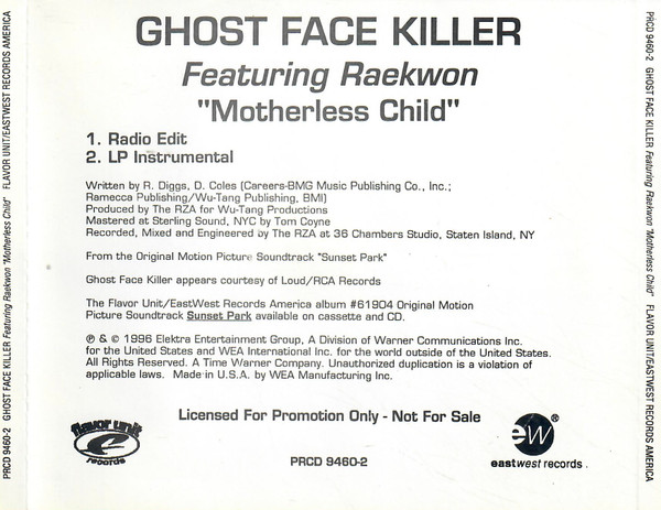 descargar álbum Ghostface Killer - Motherless Child
