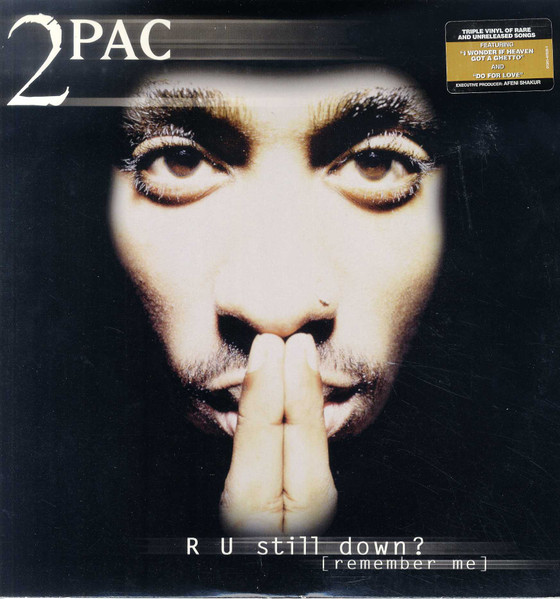 2Pac – R U Still Down? [Remember Me] (1997, Clean, Vinyl) - Discogs