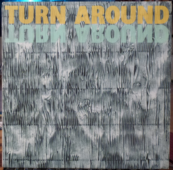 last ned album Riccardo Garzoni Trio - Turn Around